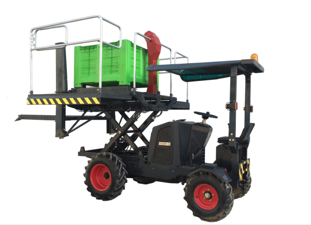 如何對果園進行夏剪