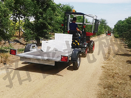 香蕉视频在线下载观看