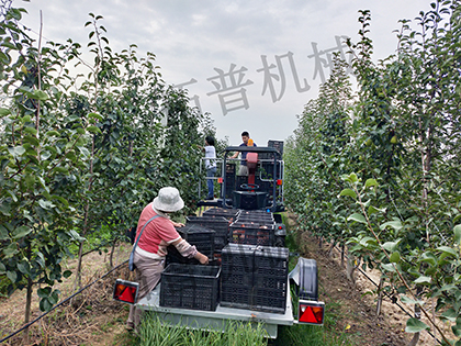 香蕉视频在线下载观看
