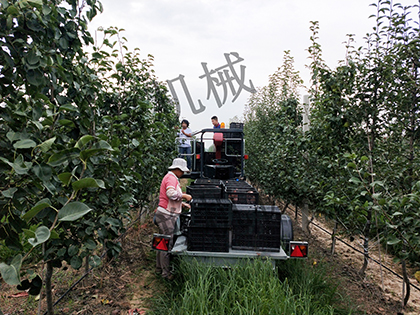 香蕉视频在线下载观看