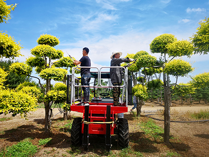 多功能機械伸展作業平台