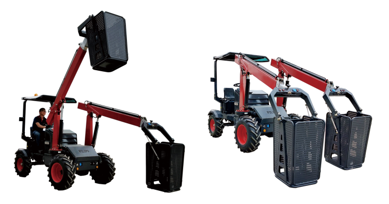 全麵修枝整形 提升城市園林綠化形象