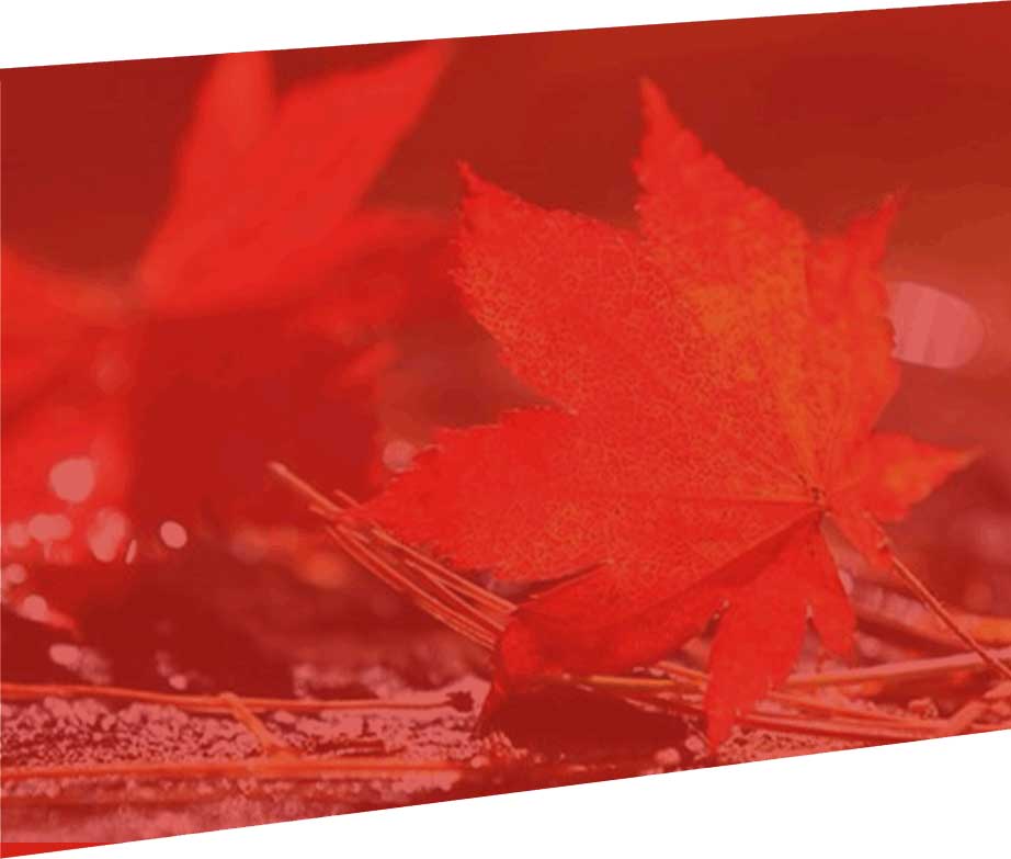 香蕉视频下载链接公司簡介背景圖