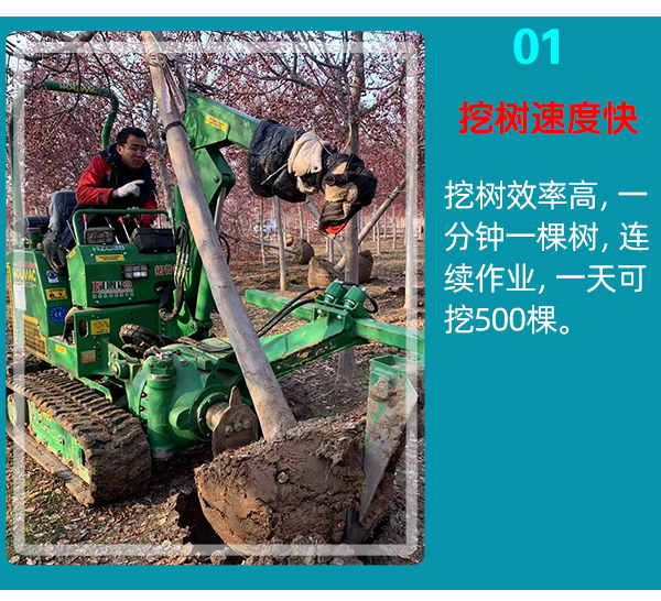 91香蕉视频APP污