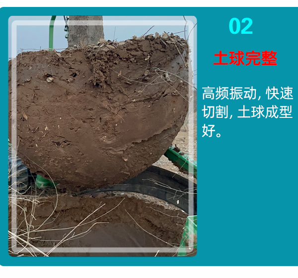 91香蕉视频APP污