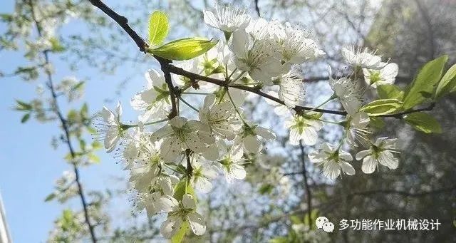 多功能果園作業平台--果園管理的好搭檔！