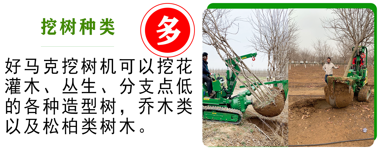 好馬克91香蕉视频APP污