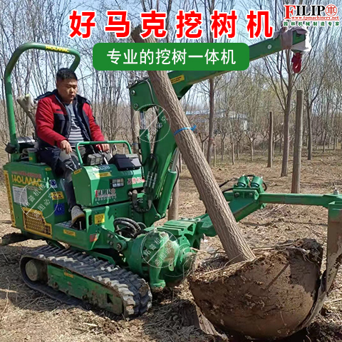 1724922016288184.jpg 01.jpg