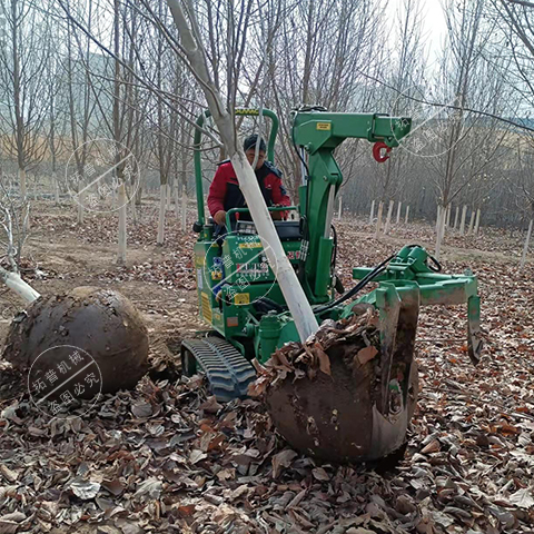 1724922039194886.jpg 02.jpg